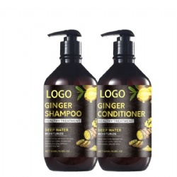 Professional 500ml Hair Care Sulfate free anti hair loss ginger Hair Shampoo And Conditioner